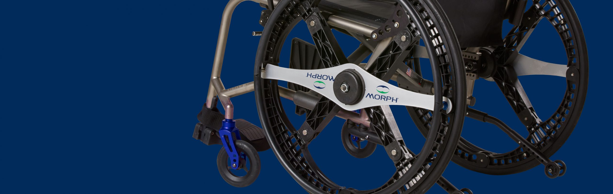 morph banner scaled 1