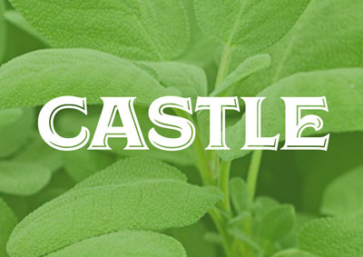 castlenew thumb 1