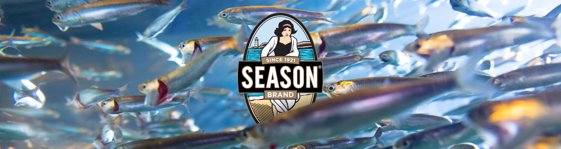 SPIT Web SeasonWebsite Header1