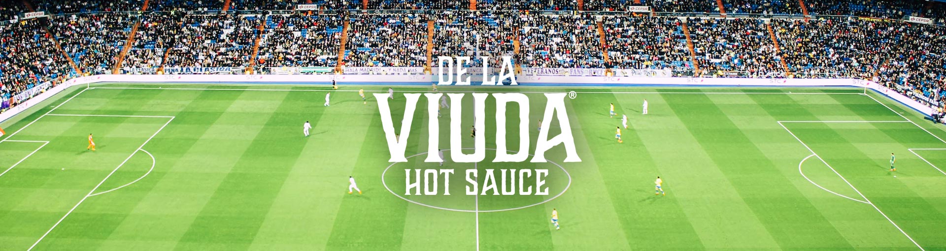 dlvsoccer header