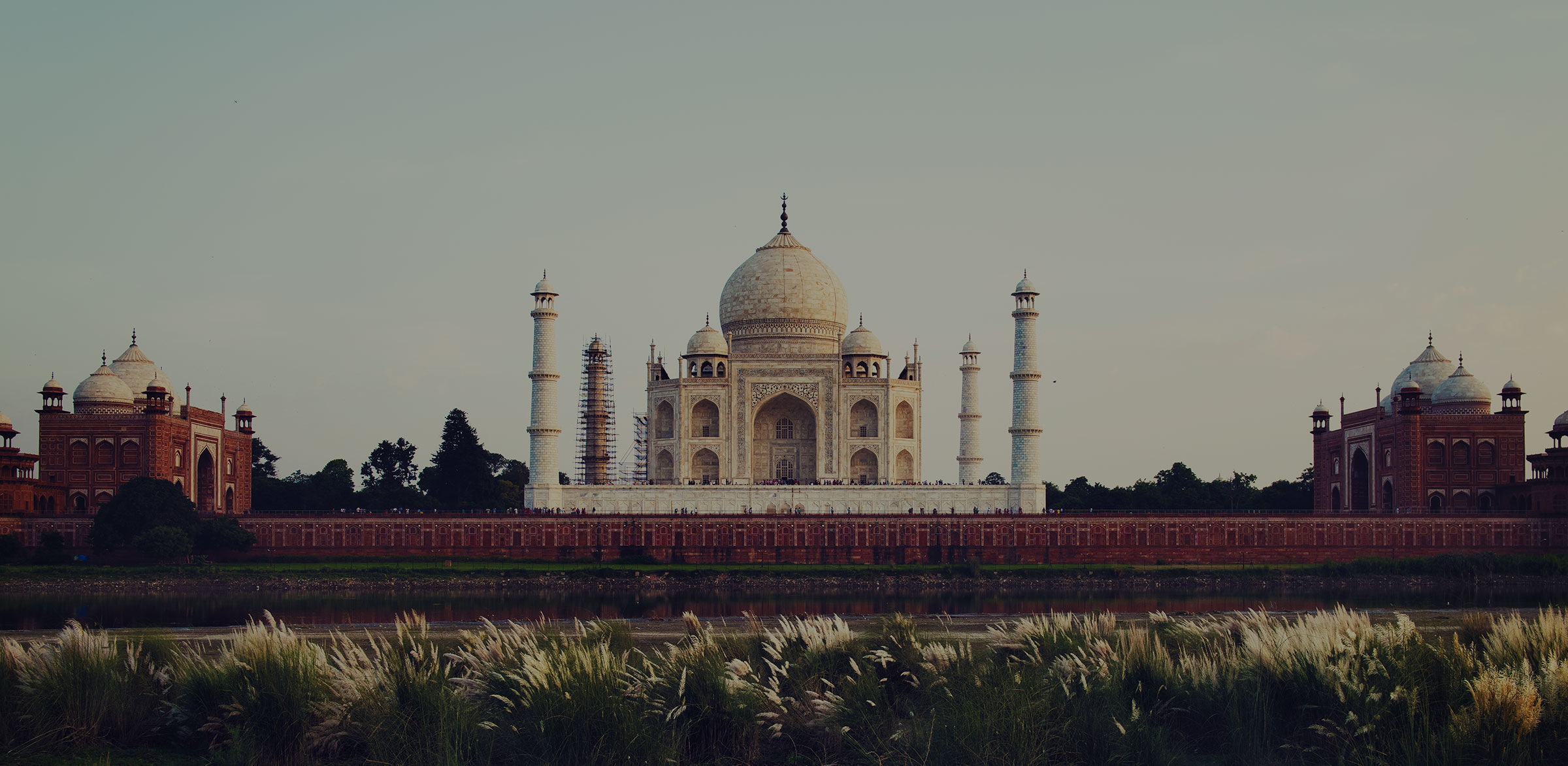Daena India2