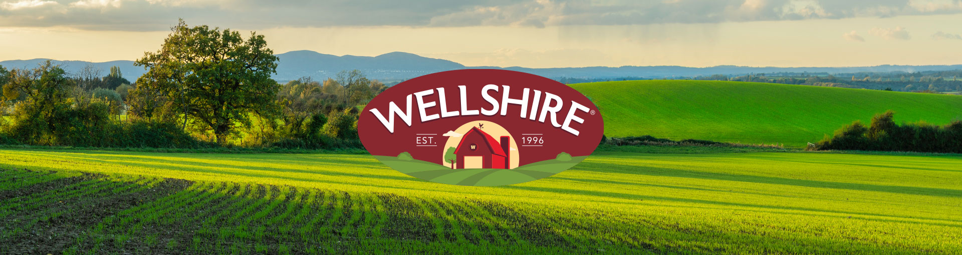 SPIT Web Wellshire Header1
